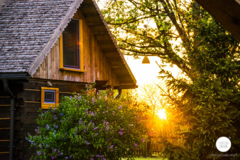 Końcówka maja w Siedlisku